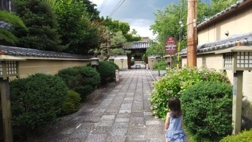 初夏の京都　千本釈迦堂（上京区） 2018