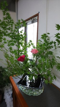 今週の花(京都市右京区)