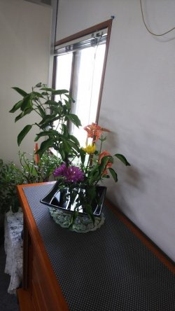 今週の花(京都市右京区)
