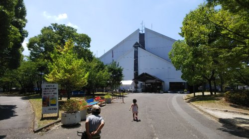 京都の伏見港公園プール