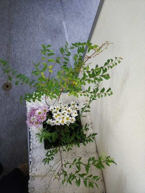 今週の花（京都市右京区）