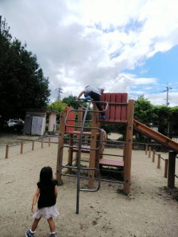 星池公園(京都市中京区)